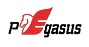 ペガサスグローバルエクスプレス PEGASUS GLOBAL EXPRESS