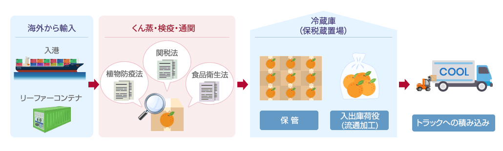 青果輸送・保管の流れの図